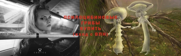 твердый Алзамай