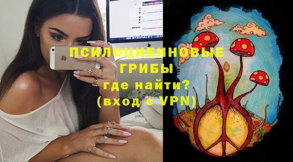 гашик Билибино