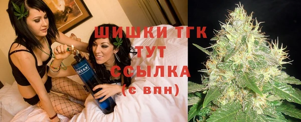 твердый Алзамай