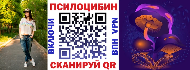 где купить наркотик  Цивильск  Галлюциногенные грибы MAGIC MUSHROOMS 